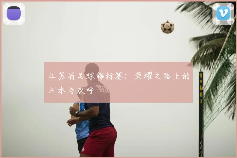江苏省足球锦标赛：荣耀之路上的汗水与欢呼