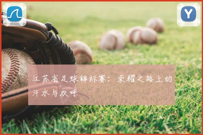 江苏省足球锦标赛：荣耀之路上的汗水与欢呼