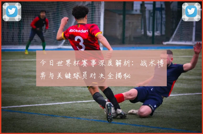 今日世界杯赛事深度解析：战术博弈与关键球员对决全揭秘